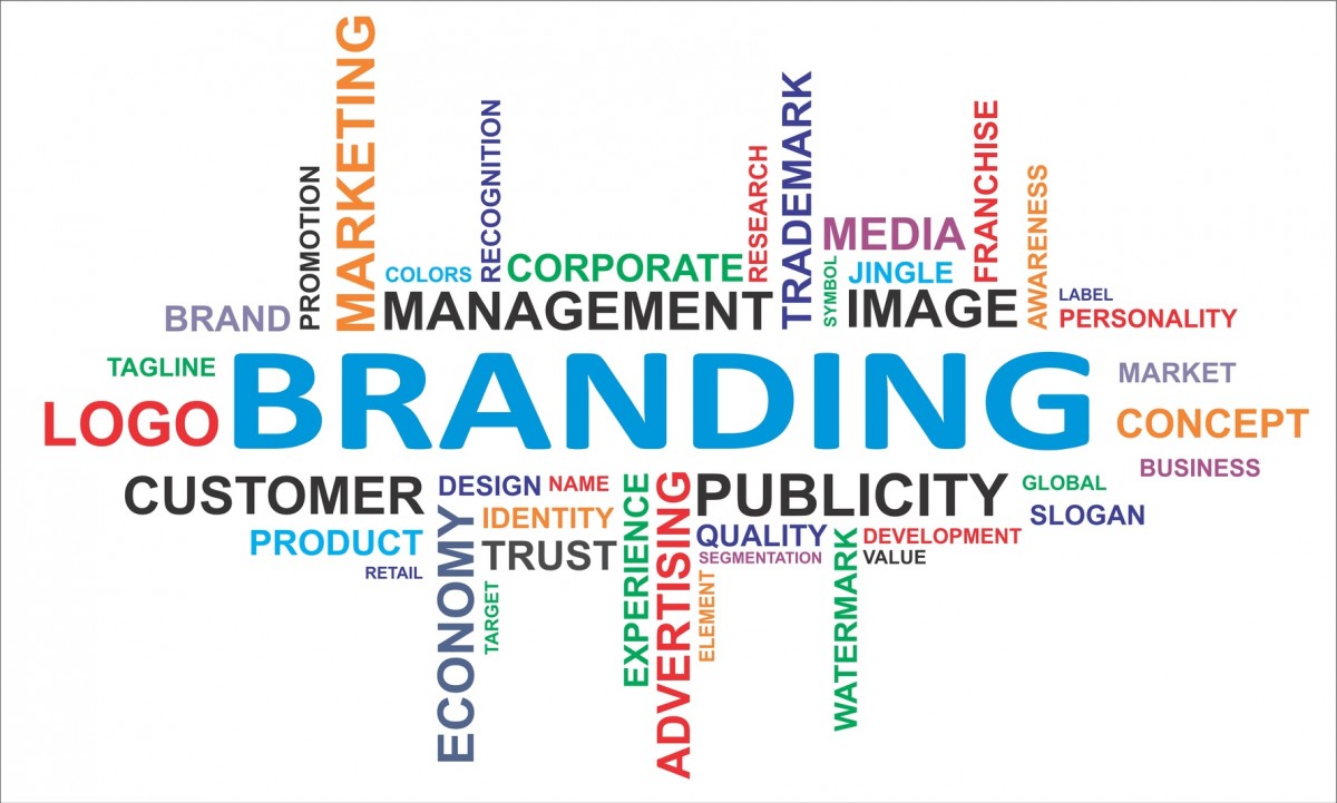 branding agency in Wellington