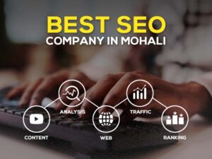 Best SEO Company in Mohali: Elevate Your Business with Daksha Digitas